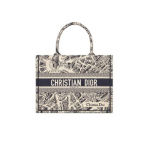 Dior Book Tote Medium Blue And Beige Plan De Paris
